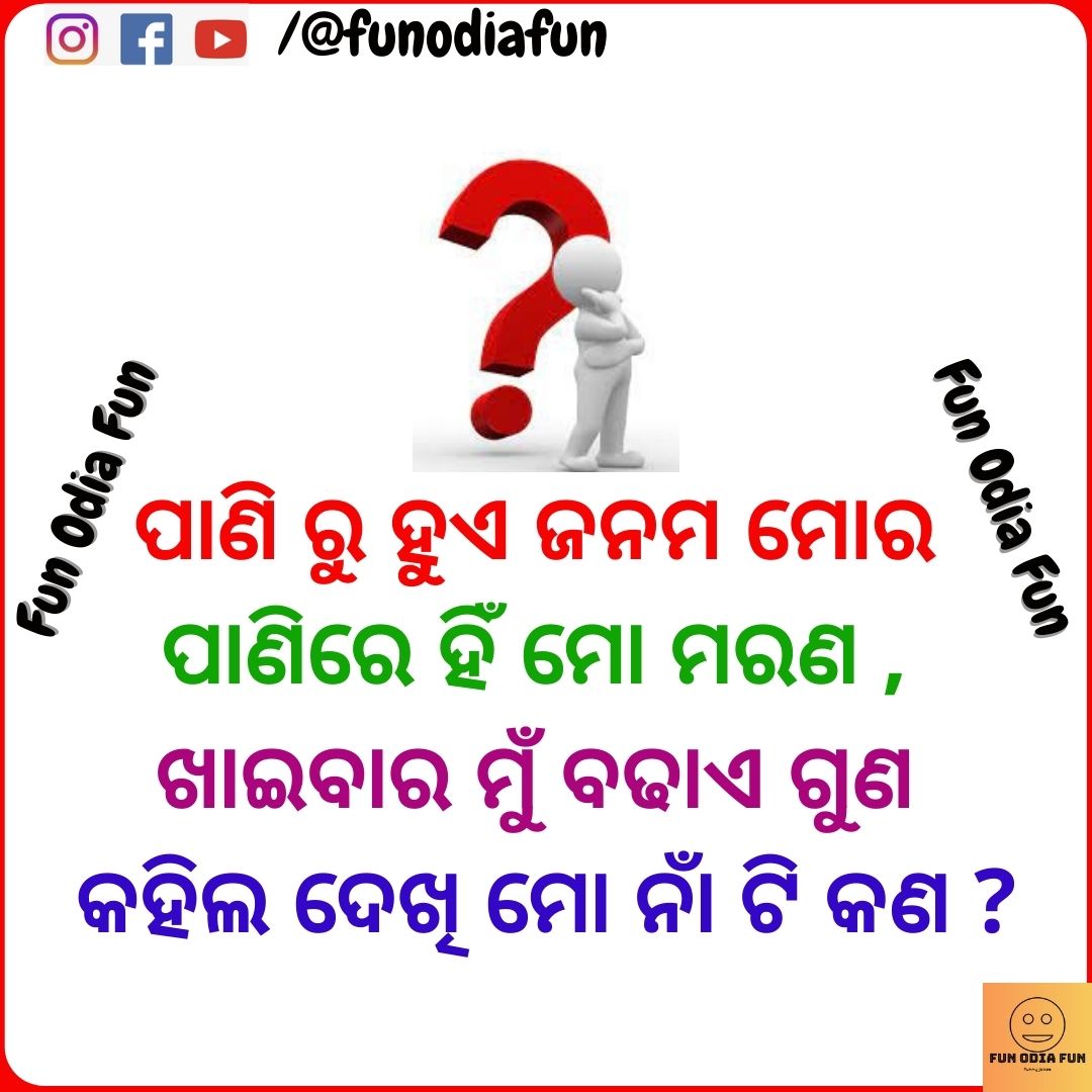 All 2025 comedy odia
